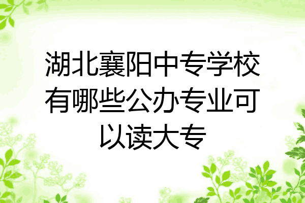 湖北襄阳中专学校有哪些公办专业可以读大专