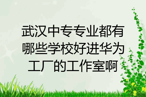 武汉中专专业都有哪些学校好进华为工厂的工作室啊
