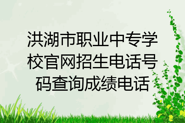 洪湖市职业中专学校官网招生电话号码查询成绩电话