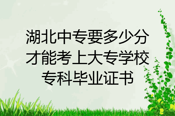 湖北中专要多少分才能考上大专学校专科毕业证书