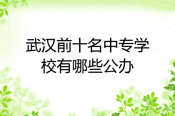武汉前十名中专学校有哪些公办