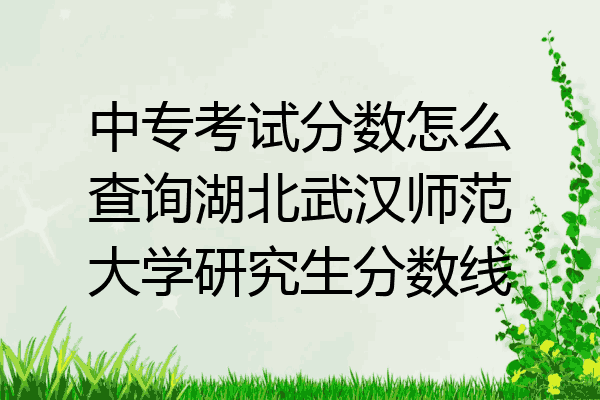 中专考试分数怎么查询湖北武汉师范大学研究生分数线