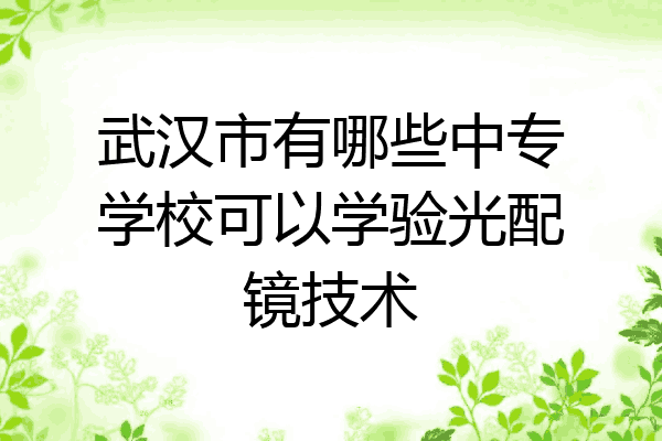 武汉市有哪些中专学校可以学验光配镜技术