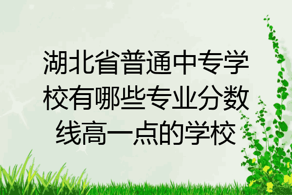 湖北省普通中专学校有哪些专业分数线高一点的学校
