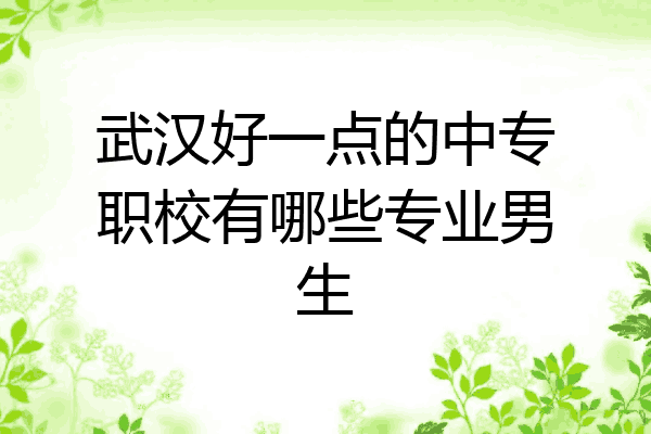 武汉好一点的中专职校有哪些专业男生