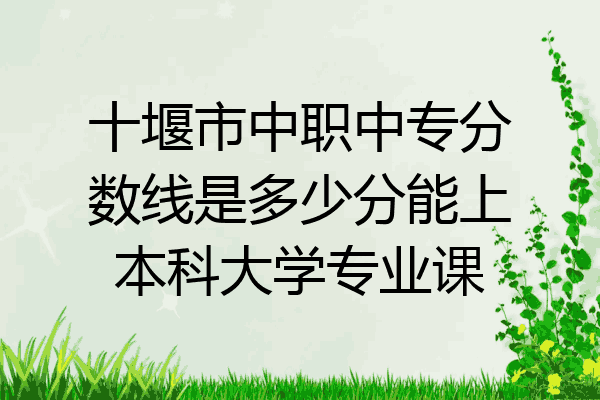 十堰市中职中专分数线是多少分能上本科大学专业课