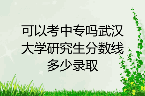 可以考中专吗武汉大学研究生分数线多少录取