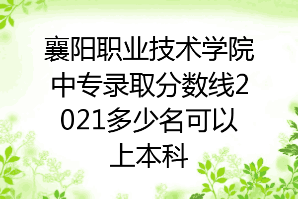 襄阳职业技术学院中专录取分数线2021多少名可以上本科