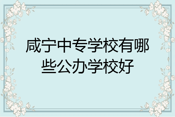 咸宁中专学校有哪些公办学校好