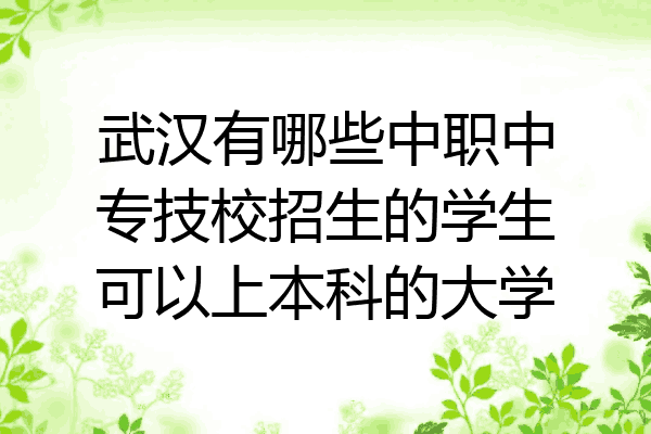 武汉有哪些中职中专技校招生的学生可以上本科的大学