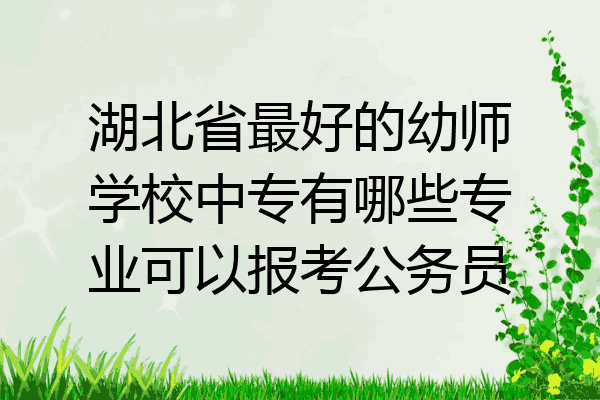 湖北省最好的幼师学校中专有哪些专业可以报考公务员