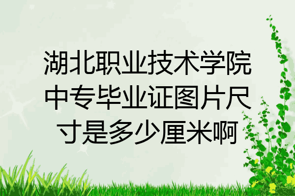 湖北职业技术学院中专毕业证图片尺寸是多少厘米啊