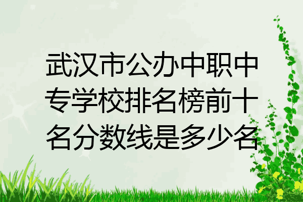 武汉市公办中职中专学校排名榜前十名分数线是多少名