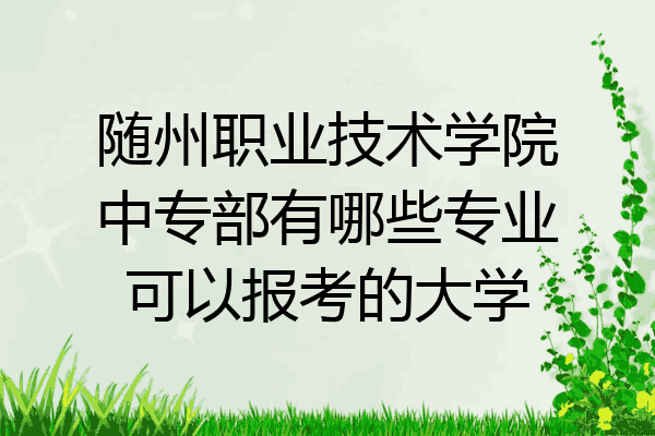 随州职业技术学院中专部有哪些专业可以报考的大学