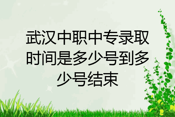 武汉中职中专录取时间是多少号到多少号结束