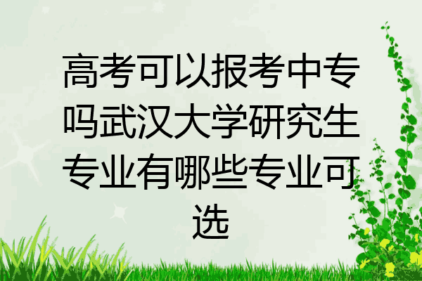 高考可以报考中专吗武汉大学研究生专业有哪些专业可选