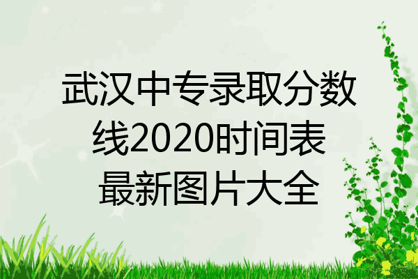 武汉中专录取分数线2020时间表最新图片大全