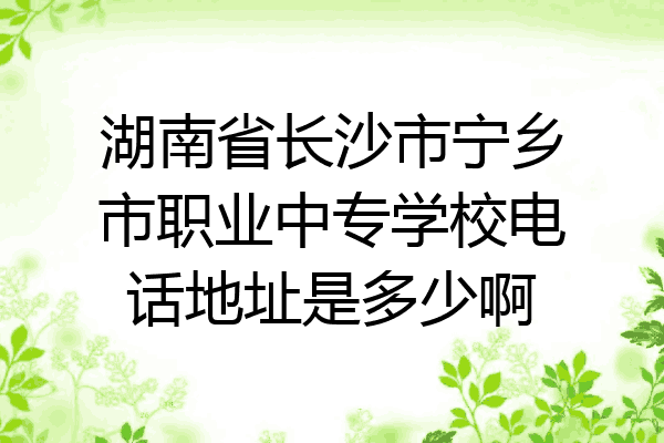 湖南省长沙市宁乡市职业中专学校电话地址是多少啊