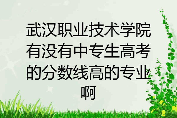 武汉职业技术学院有没有中专生高考的分数线高的专业啊