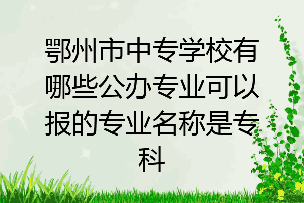 鄂州市中专学校有哪些公办专业可以报的专业名称是专科