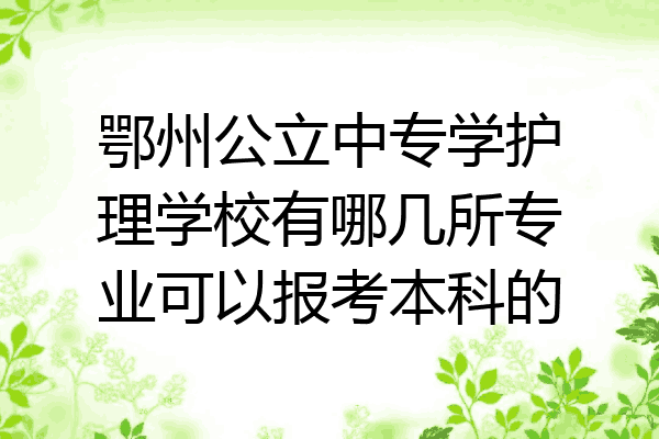 鄂州公立中专学护理学校有哪几所专业可以报考本科的