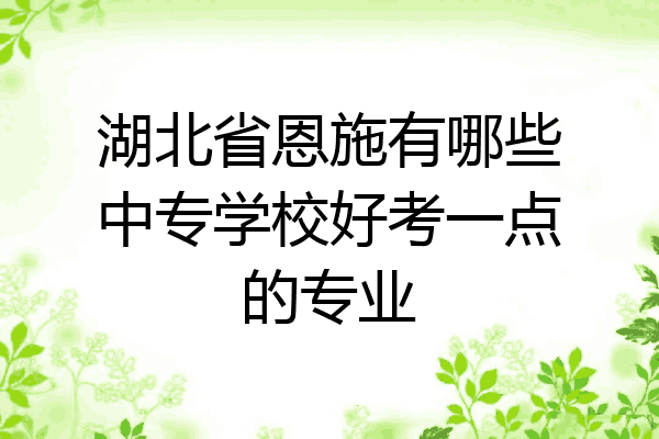 湖北省恩施有哪些中专学校好考一点的专业