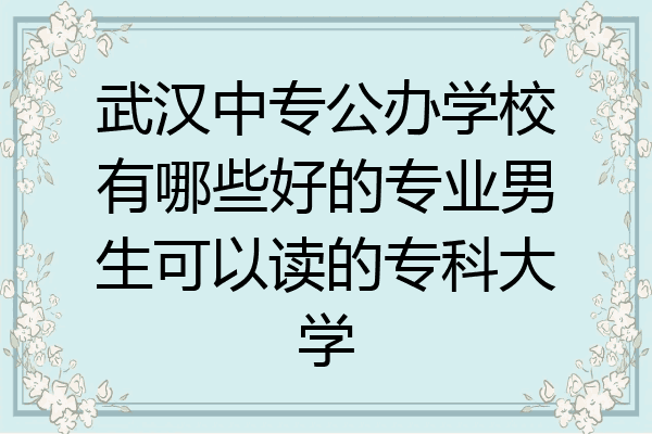 武汉中专公办学校有哪些好的专业男生可以读的专科大学