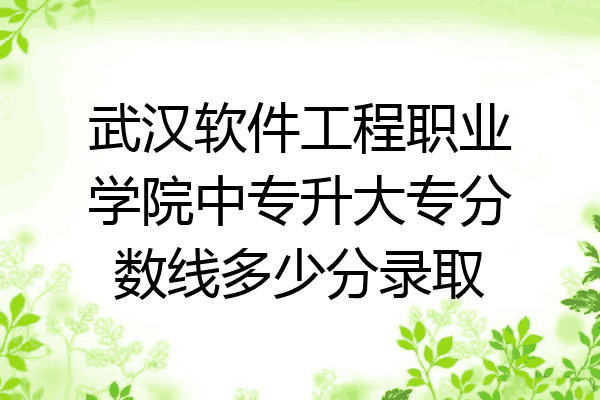 武汉软件工程职业学院中专升大专分数线多少分录取