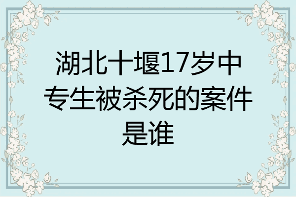 湖北十堰17岁中专生被杀死的案件是谁