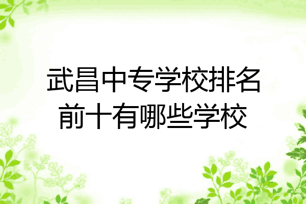 武昌中专学校排名前十有哪些学校