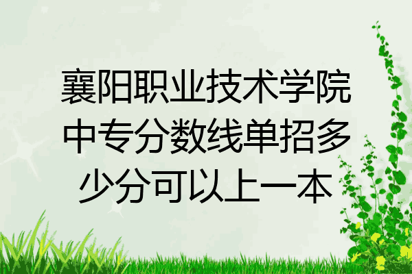 襄阳职业技术学院中专分数线单招多少分可以上一本