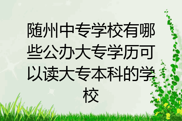随州中专学校有哪些公办大专学历可以读大专本科的学校