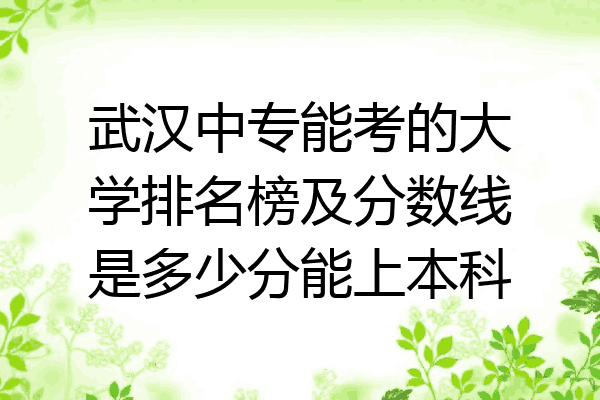 武汉中专能考的大学排名榜及分数线是多少分能上本科