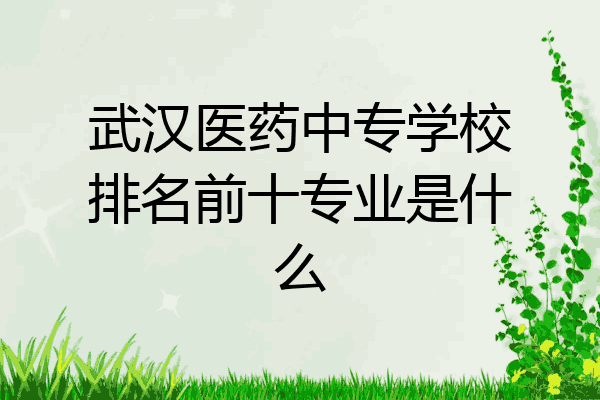 武汉医药中专学校排名前十专业是什么