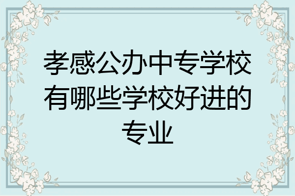 孝感公办中专学校有哪些学校好进的专业