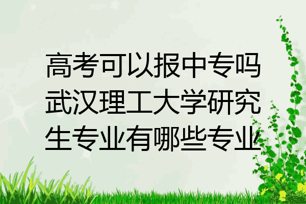 高考可以报中专吗武汉理工大学研究生专业有哪些专业