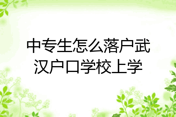 中专生怎么落户武汉户口学校上学