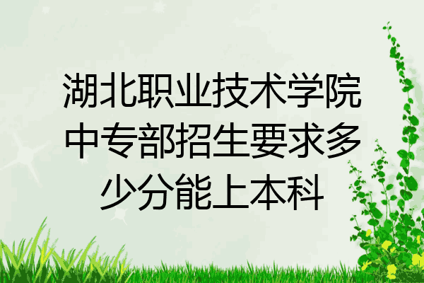 湖北职业技术学院中专部招生要求多少分能上本科