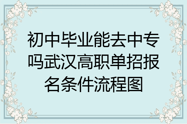 初中毕业能去中专吗武汉高职单招报名条件流程图