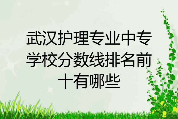 武汉护理专业中专学校分数线排名前十有哪些