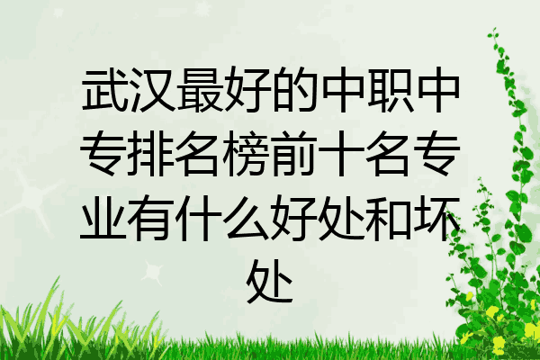 武汉最好的中职中专排名榜前十名专业有什么好处和坏处