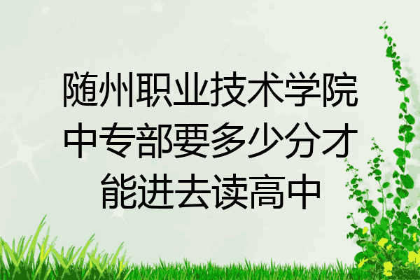 随州职业技术学院中专部要多少分才能进去读高中