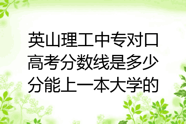 英山理工中专对口高考分数线是多少分能上一本大学的
