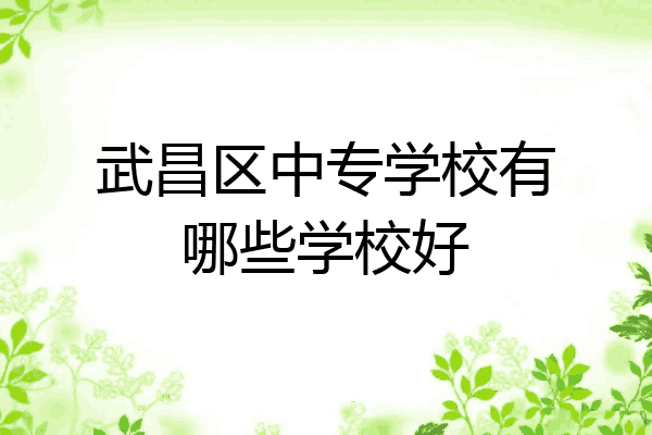武昌区中专学校有哪些学校好