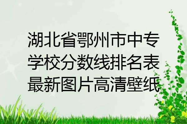 湖北省鄂州市中专学校分数线排名表最新图片高清壁纸
