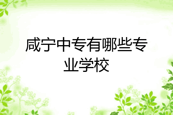 咸宁中专有哪些专业学校