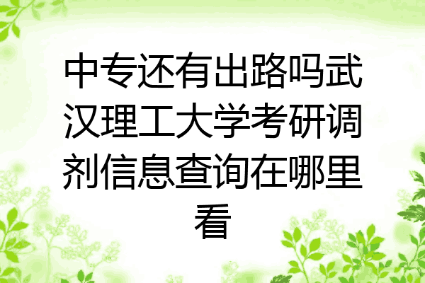 中专还有出路吗武汉理工大学考研调剂信息查询在哪里看