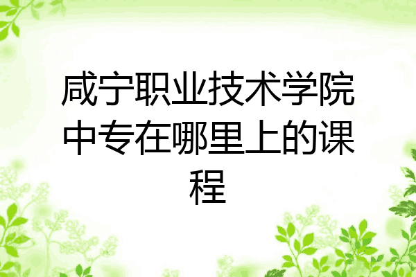 咸宁职业技术学院中专在哪里上的课程