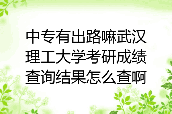 中专有出路嘛武汉理工大学考研成绩查询结果怎么查啊