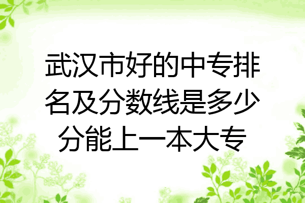 武汉市好的中专排名及分数线是多少分能上一本大专